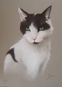 black and white cat portrait painting in pastels