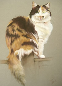 bespoke ginger and black cat portrait painting
