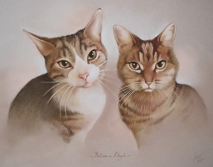 Group portrait of tabby cats in pastels