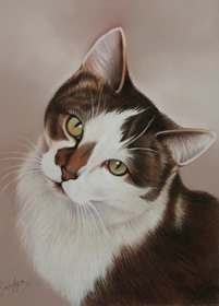 white and tabby cat portrait painting in pastels