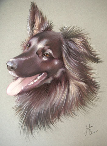 Memorial dog portrait from poor quality photos