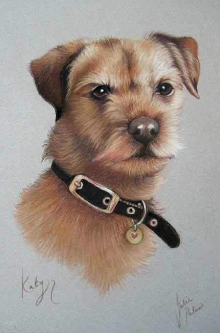 border terrier portrait with collar pastel painting
