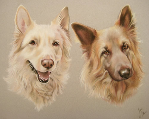 Group Portrait of German Shepherds
